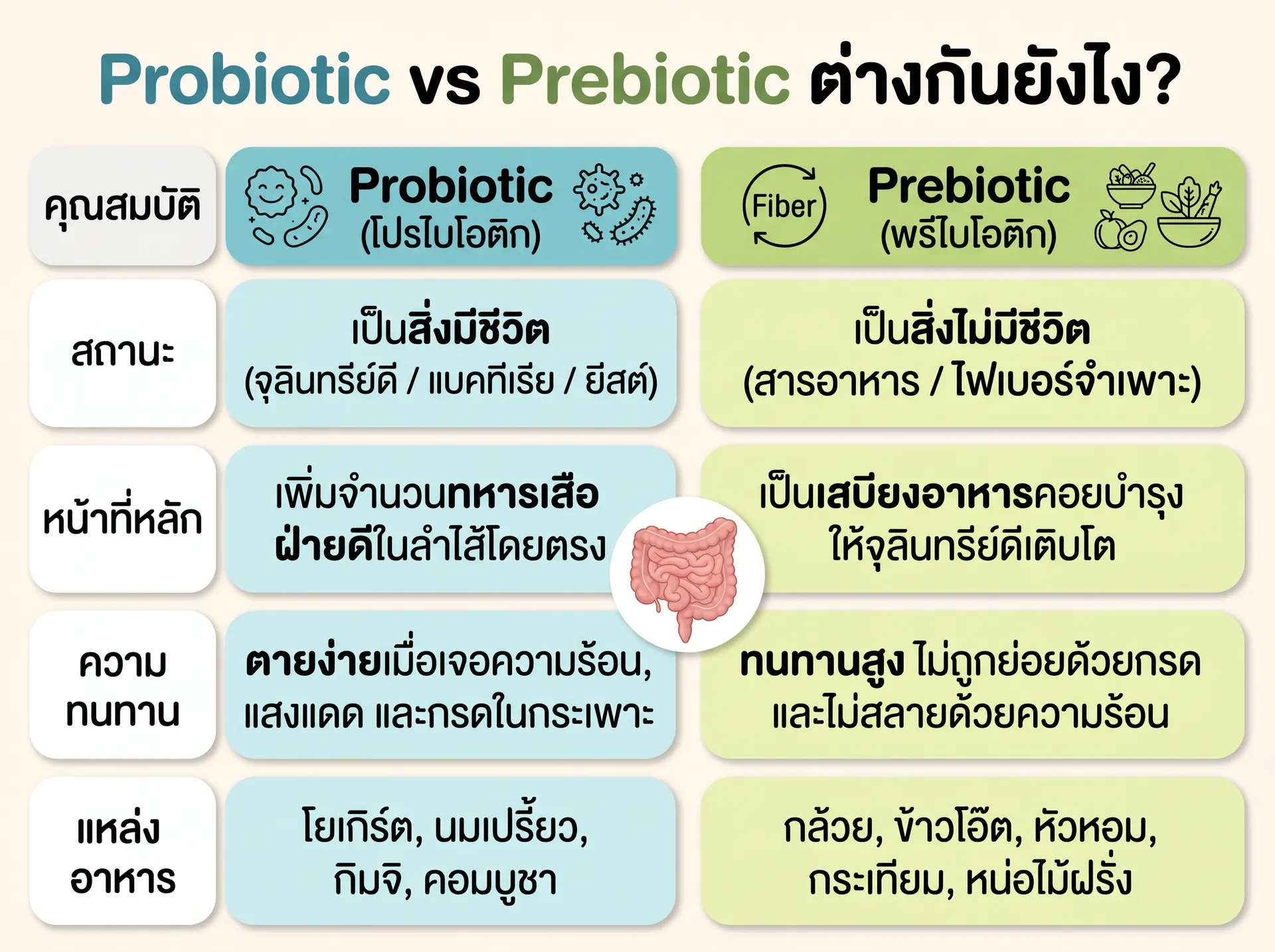 Probiotic vs Prebiotic ต่างกันยังไง ต้องกินคู่กันไหม